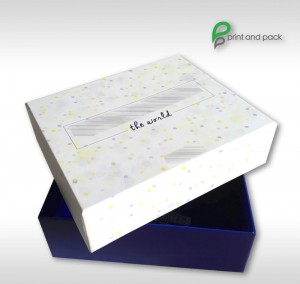 Box21 (1)         